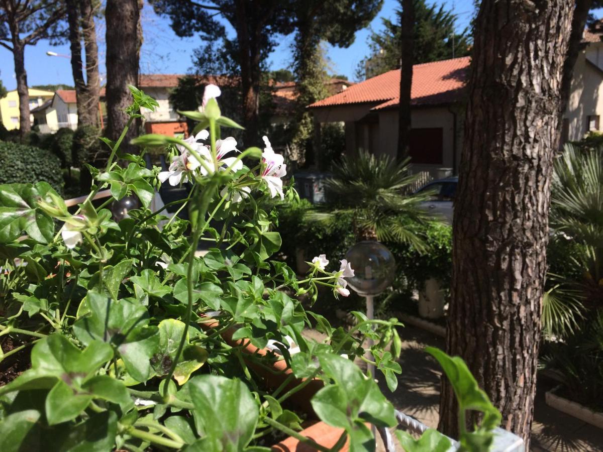 Alice Hotel Cervia Luaran gambar
